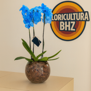 Orquídea no Aquário